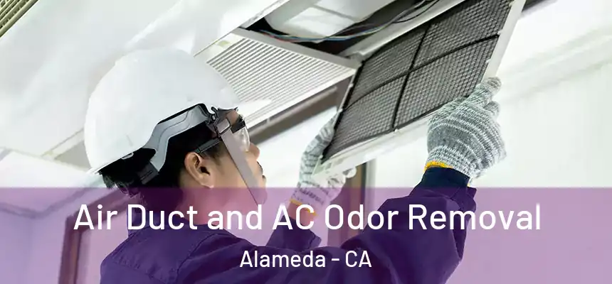  Air Duct and AC Odor Removal Alameda - CA