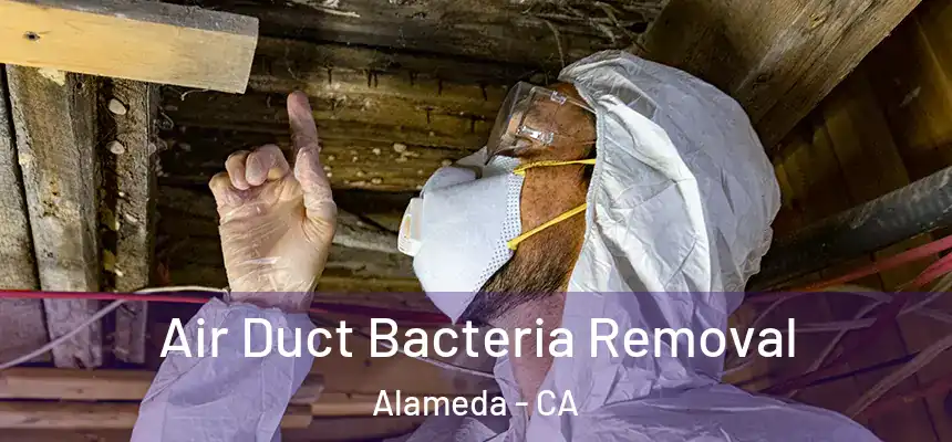  Air Duct Bacteria Removal Alameda - CA