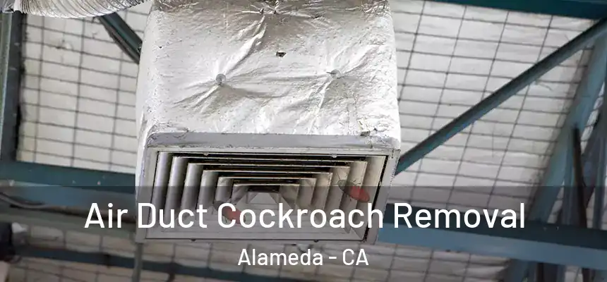  Air Duct Cockroach Removal Alameda - CA