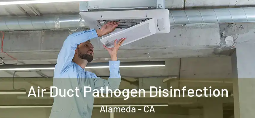 Air Duct Pathogen Disinfection Alameda - CA