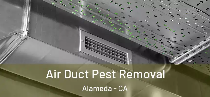  Air Duct Pest Removal Alameda - CA