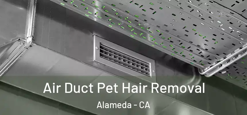  Air Duct Pet Hair Removal Alameda - CA