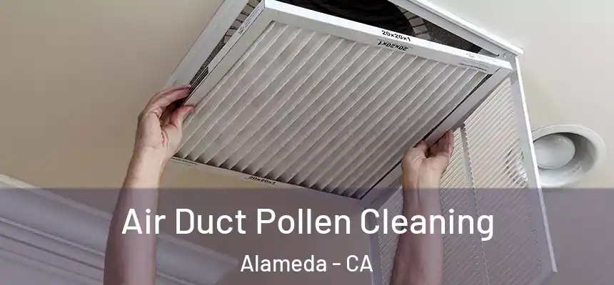  Air Duct Pollen Cleaning Alameda - CA