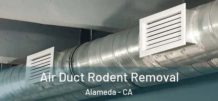  Air Duct Rodent Removal Alameda - CA