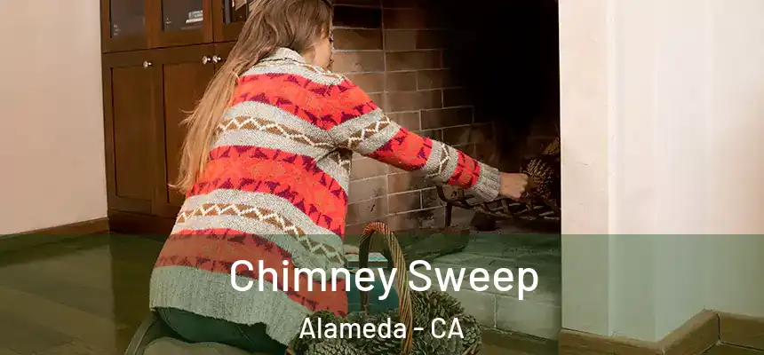 Chimney Sweep Alameda - CA