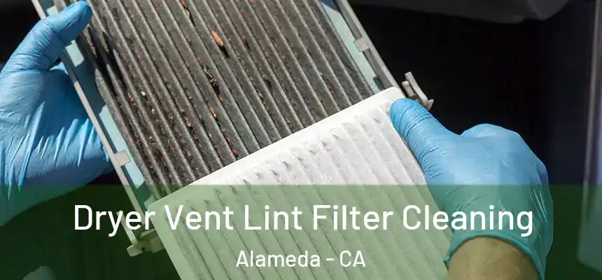  Dryer Vent Lint Filter Cleaning Alameda - CA