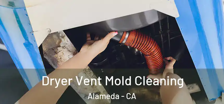 Dryer Vent Mold Cleaning Alameda - CA