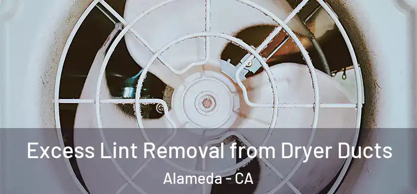  Excess Lint Removal from Dryer Ducts Alameda - CA