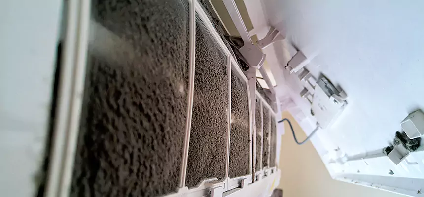 Preventive Air Duct Bacteria Removal in Alameda