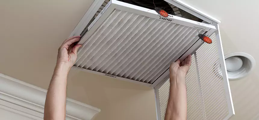 Preventive Cockroach-Proofing for Ducts in Alameda