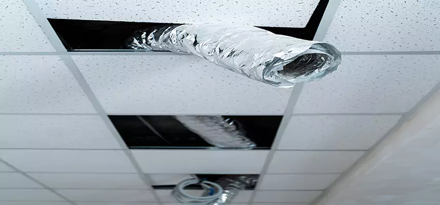 Our Air Duct Pet Hair Removal Services in Alameda, CA