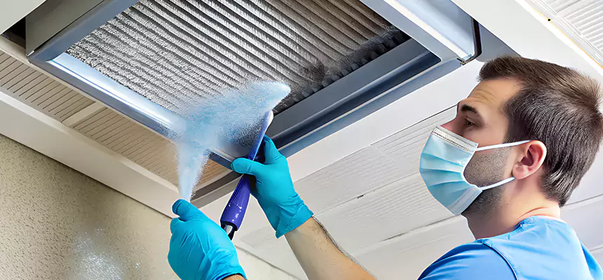 Proactive Dryer Vent & Auxiliary Duct Pollen Cleanup in Alameda, CA