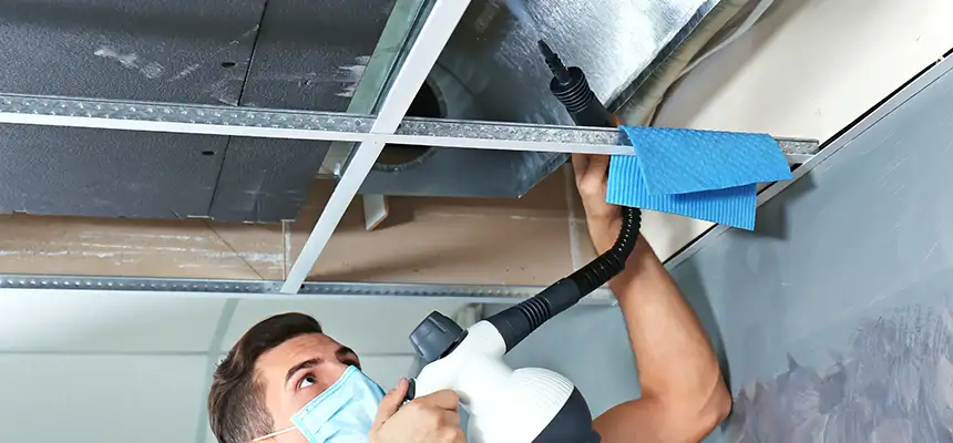 Our Air Duct Rodent Removal Services in Alameda, CA