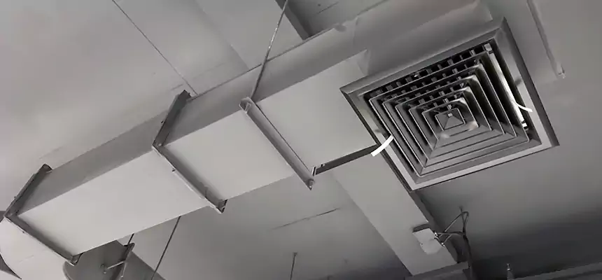 Restorative Allergy Relief Vent Cleaning – Coil, Blower & Housing Detail in Alameda