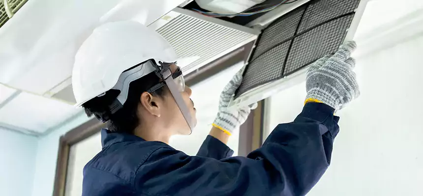 Our Mold & Mildew Removal from Air Ducts Services in Alameda, CA