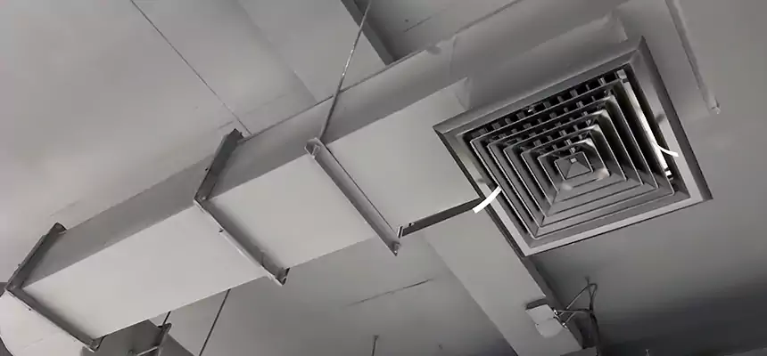 Our Pest Removal From Ducts Services in Alameda, CA