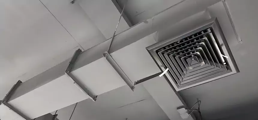 Our Rodent Droppings In Vents Services in Alameda, CA