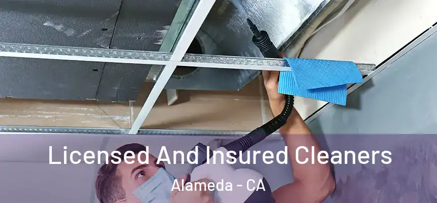 Licensed And Insured Cleaners Alameda - CA