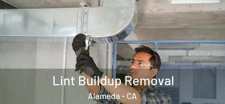  Lint Buildup Removal Alameda - CA