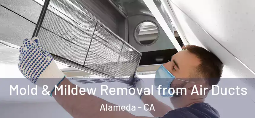Mold & Mildew Removal from Air Ducts Alameda - CA