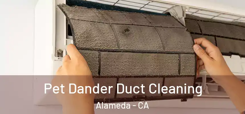Pet Dander Duct Cleaning Alameda - CA