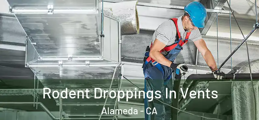 Rodent Droppings In Vents Alameda - CA