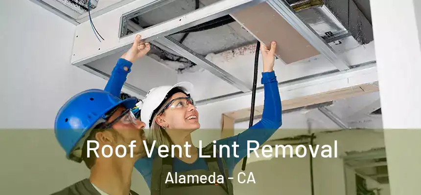 Roof Vent Lint Removal Alameda - CA