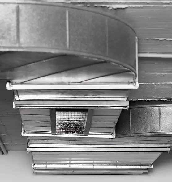 Professional Air Duct Pest Removal in Alameda, CA