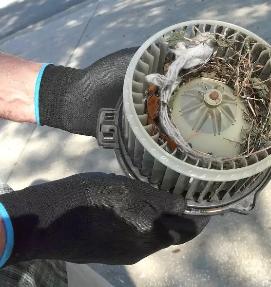 About Air Duct Rat Removal in Alameda, CA