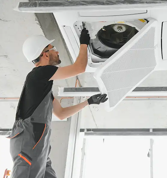 About Air Duct Rodent Removal in Alameda, CA