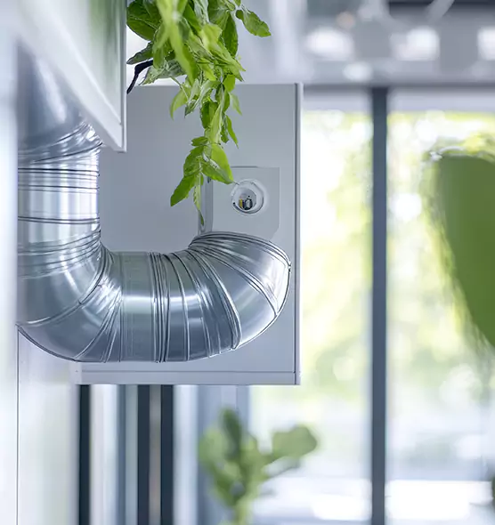 Professional Eco-Friendly Duct Cleaning Services in Alameda, CA