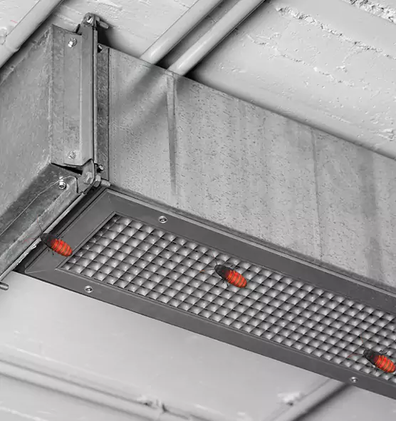 Affordable Insect Removal from Air Ducts in Alameda, CA