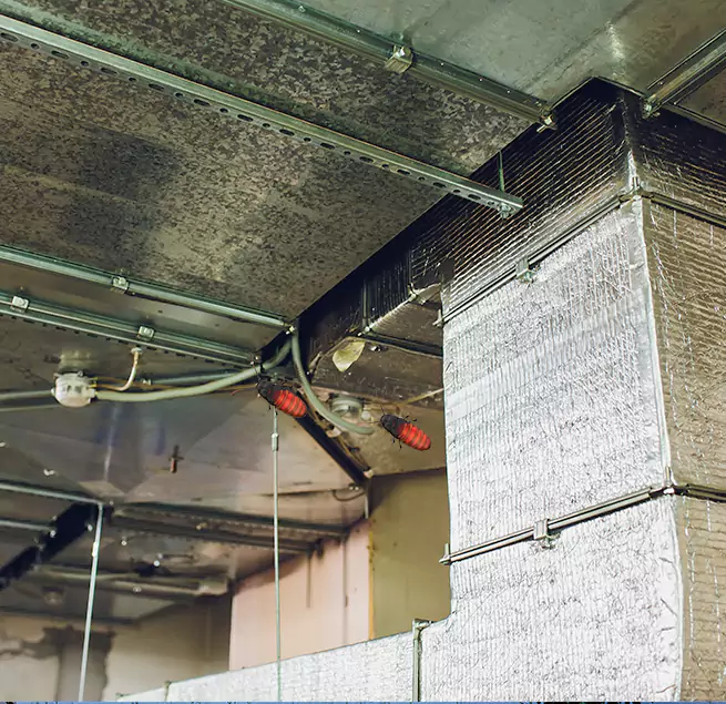 Why Homeowners & Businesses Trust Us in Alameda, CA?