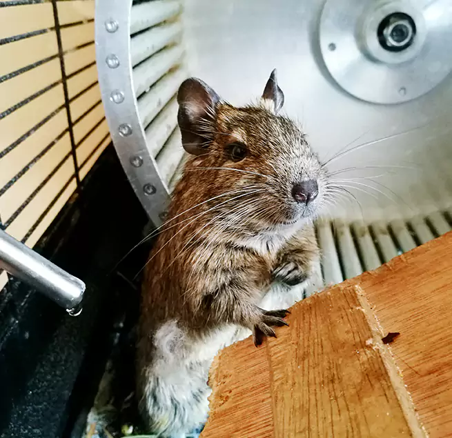 Why Homeowners & Businesses Trust Us Alameda, CA