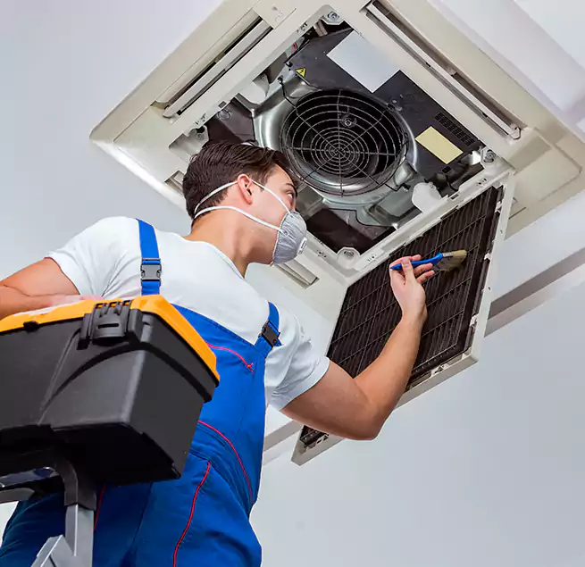 Why Homeowners & Businesses Trust Us in Alameda, CA