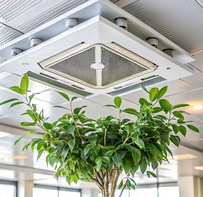 Why Homeowners & Businesses Trust Us in Alameda, CA?