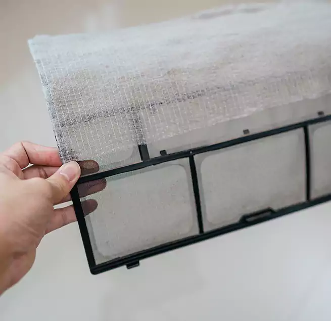 Why Homeowners & Businesses Trust Us in Alameda, CA?