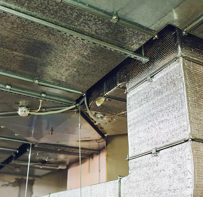 Why Homeowners & Businesses Trust Us in Alameda, CA?