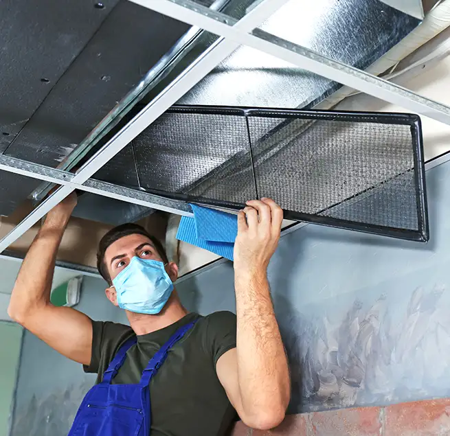 Why Homeowners & Businesses Trust Us in Alameda, CA?